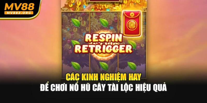 Các kinh nghiệm hay để chơi nổ hũ Cây Tài Lộc hiệu quả