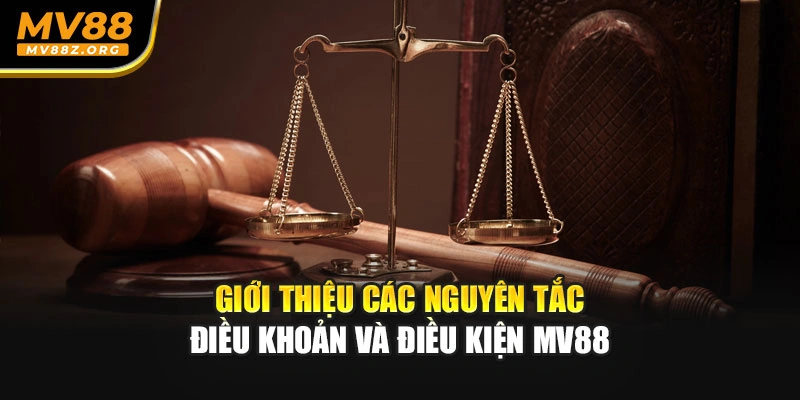 Giới thiệu các nguyên tắc điều khoản và điều kiện MV88