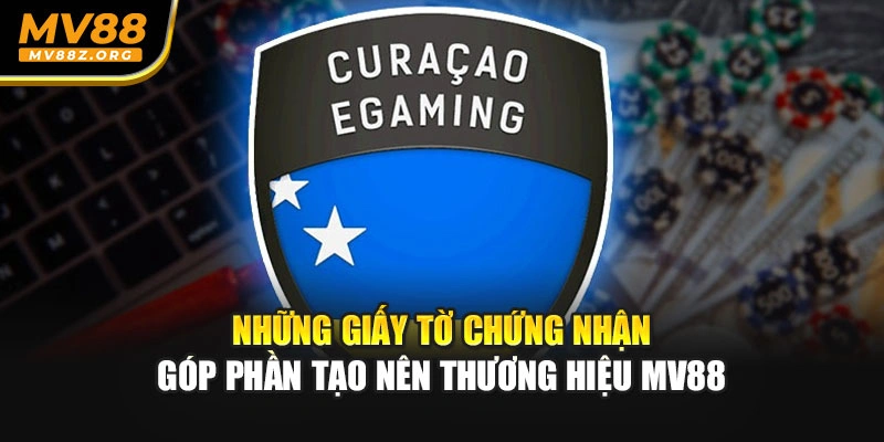 Những giấy tờ chứng nhận góp phần tạo nên thương hiệu MV88